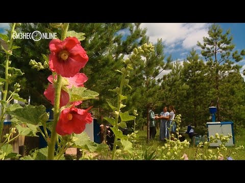 Репортаж недели #85. Как живут анастасиевцы в Татарстане