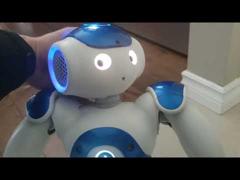 Nao Robot follow me command with ben