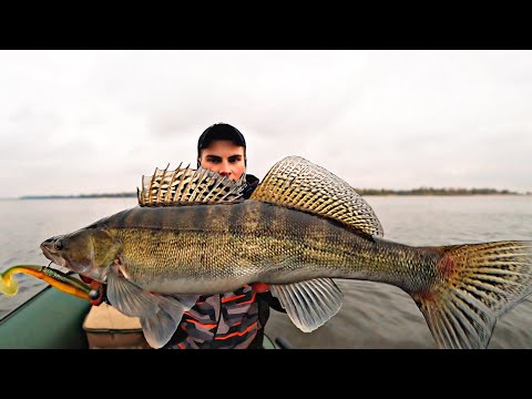 ЭТОТ СЛАГ СДЕЛАЛ РЫБАЛКУ! СУДАКИ КЛЮЮТ НА КАЖДОМ ЗАБРОСЕ! Рыбалка на спиннинг 2024
