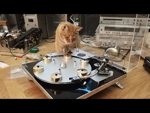 Что нужно знать при покупке LP проигрывателя. часть 1.