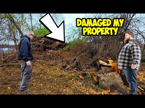 Neighbor Confronts Me Over Damage from Elderly Lady's Tree