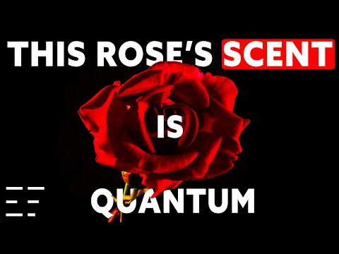 Groundbreaking Consciousness Theory By Microprocessor Inventor | Federico Faggin & Bernardo Kastrup