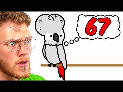 Animals With Higher IQ Than You!