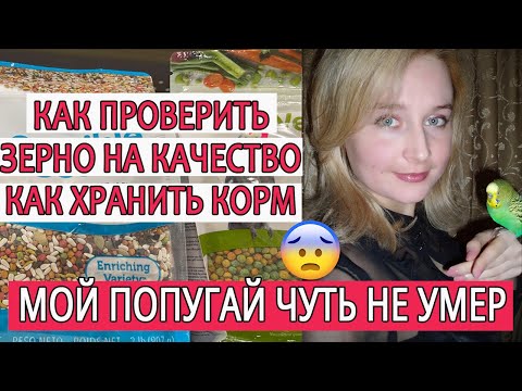 КАК ПРОВЕРИТЬ КОРМ НА КАЧЕСТВО | КАК ХРАНИТЬ КОРМ | МОЙ ПОПУГАЙ ЧУТЬ НЕ УМЕР ОТ ОТРАВЛЕНИЯ
