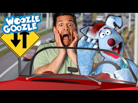 Ist Auto fahren schwierig? l WOOZLE GOOZLE