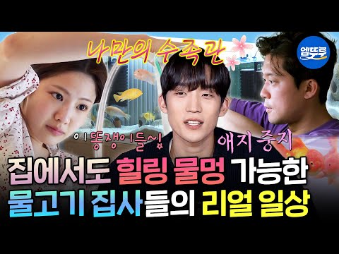 [나혼자산다] 이거 보면 물고기 키우고 싶어짐🥹 야무지게 반려어 케어하는 물고기 집사의 일상🐟ㅣ#조아람 #김대호 #이상이 MBC250110방송