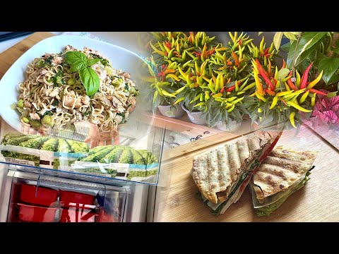 🍜 Chicken and vegetable noodles, 🥪 crispy tortilla sandwich, 🚶‍♀️✨ perfectly organized fridge.