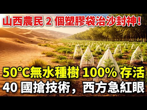 沙漠变绿洲！山西老农的治沙黑科技，2 个塑料袋搞定，40 国组团来偷师
