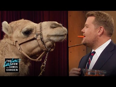 Porcupine, Armadillo & a Camel w/ Jack Hanna, Lucy Liu & Terry Crews