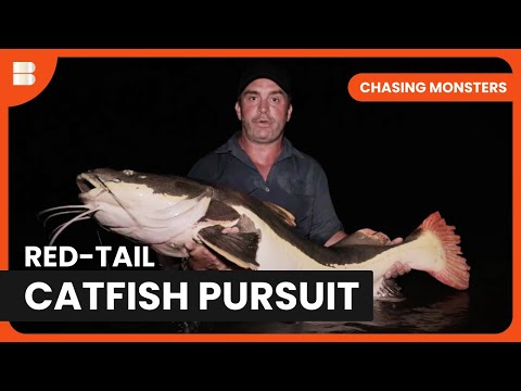 Monster Catfish Quest - Chasing Monsters - S03 EP06 - Nature & Adventure Documentary