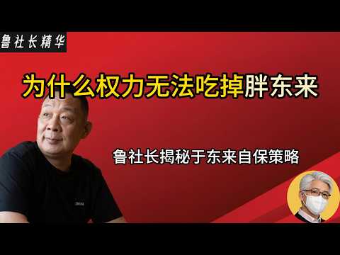 揭秘胖东来成功背后的秘密|为什么权贵动不了胖东来|中国人也值得过体面的生活|好的制度使胖东来成功