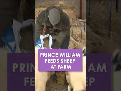 Beaming Prince William Mucks in at Farm