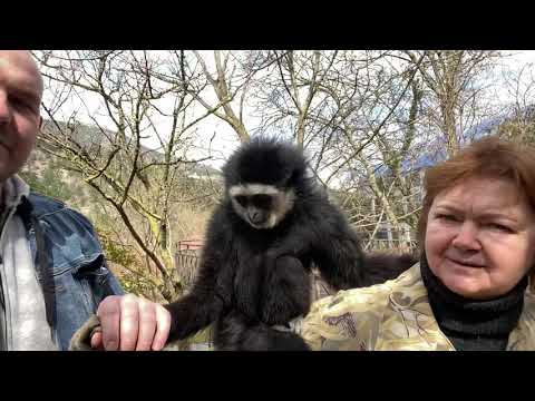 Нереальная прогулка с Татьяной Ивановной и Гошей!