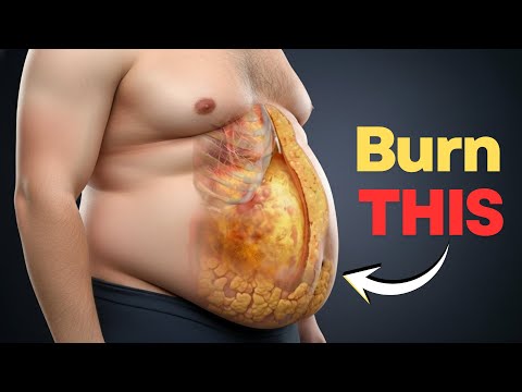 Fat Loss Science Explained: Burn Fat FAST