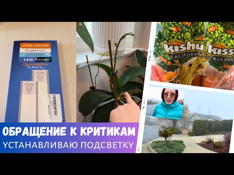 Calling for Constructive Criticism / Installing Lighting / Christmas Gifts / US Vlog