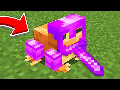 Minecraft, But Mobs Beat The Game For You...