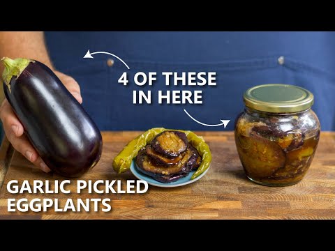 🍆 The pickled Eggplants I eat with ANYTHING