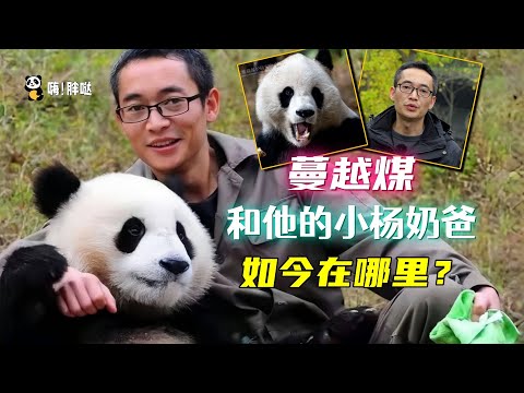 蔓越煤和他的杨奶爸如今身在何处？蔓越煤已儿女成群，杨奶爸也论文满满，成助理兽医，共同进步的“父子”俩