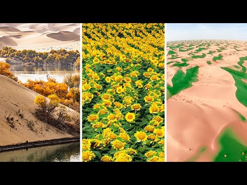 沙漠锁边、绿进沙退，看中国人这样“爆改”沙漠 | LIVE NOW