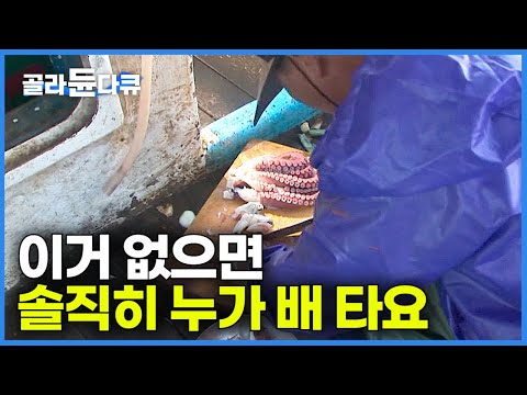 한국인 반, 중국인 반. 17시간 1,300번 통발 걷이! 이런 재미라도 없으면 솔직히 배 누가 타요┃23톤 급 청경호 2박 3일 만선 대왕문어잡이┃극한직업┃#골라듄다큐