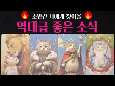 [진짜 타로] 소름돋게 맞는 조만간 찾아올 역대급 좋은 소식, 마음깊이 기원합니다🙏