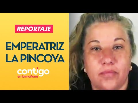 REPORTAJE | La emperatriz de la Pincoya y el supermercado de la droga - Contigo en La Mañana