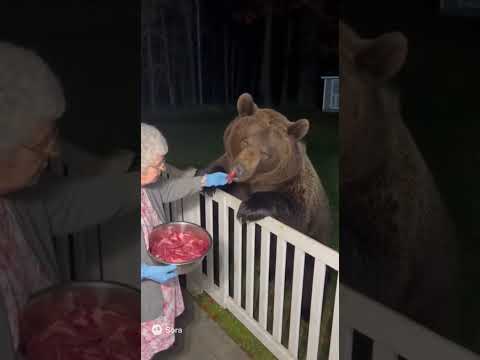 Careful grandma 👀