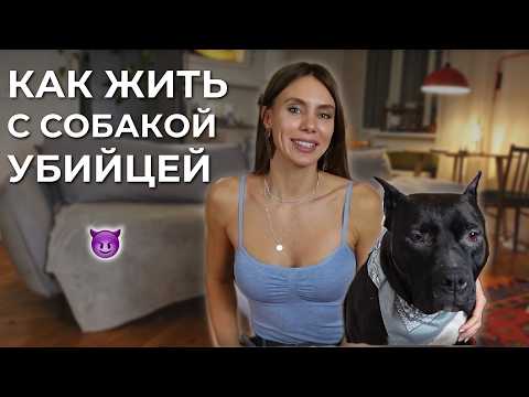 Large Dog and Small Child/Aggression, Diseases, and Training/Nutrition