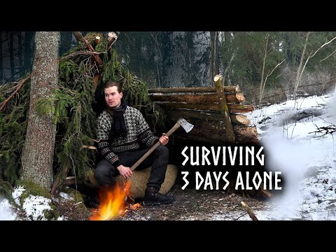 Surviving in ❄️FREEZING COLD🥶 for 3 days in Primitive Bushcraft Shelter