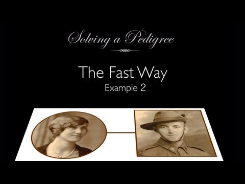 Solving a Pedigree - the Fast Way (example 2)
