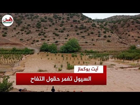 بعد جفاف الوادي السعيد لسنوات.. سيول قوية تغمر حقول التفاح بآيت بوكماز