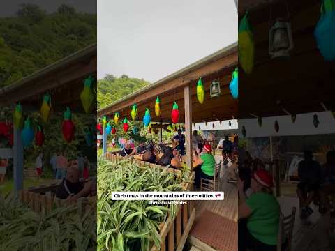 🎄Christmas in the mountains of Puerto Rico 🇵🇷 📍Bar El Huérfano in Ciales, Puerto Rico