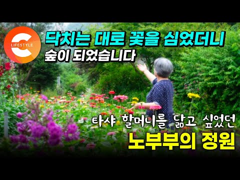 오래된 아파트 화단으로 대리만족하던 부부. 땅이 생기자마자 정원을 꽃으로 도배하고 닥치는 대로 심었더니 이렇게 됐습니다🌳 노부부의 숲이 된 정원 / EBS 가드닝컬렉션
