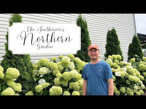 Come See Matthew's GORGEOUS Ohio Garden! :: The Southerner's Northern Garden Tour Zone 6