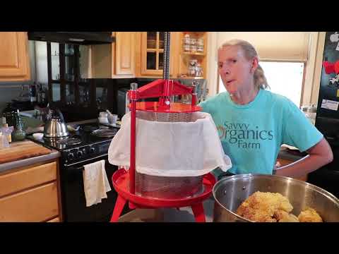 Summer Honey Harvest From Top Bar Hive | Not What We Expected