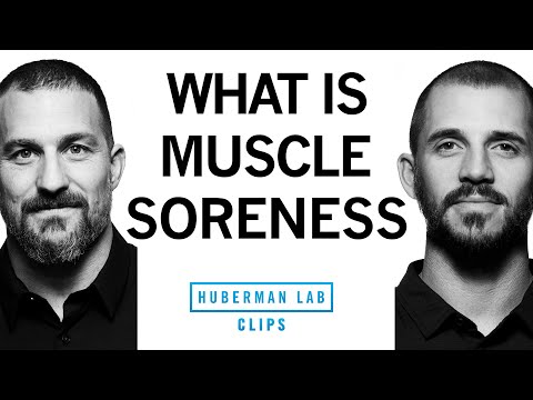 What Is Muscle Soreness? It Isn't Muscle Tears... | Dr. Andy Galpin & Dr. Andrew Huberman