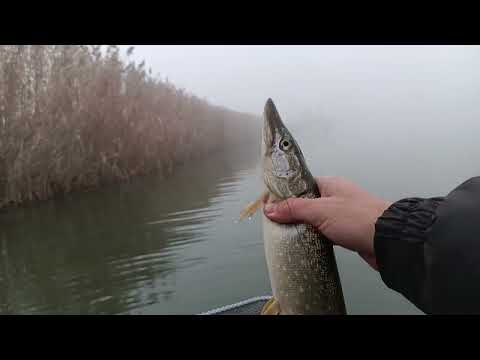 Закрытие сезона жидкой воды щука на джиг