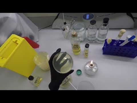 4. Техника посева