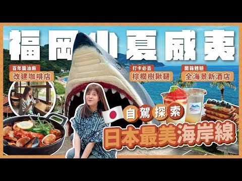 【🇯🇵Japan's Little Hawaii】Itoshima: Palm Tree Swings & Hidden Cafes in Fukuoka's Coastal Paradise