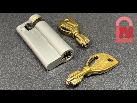 Pollux Brevete Master Ring Pump Lock Pick and Gut