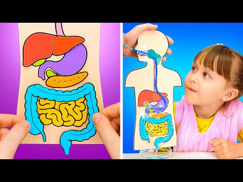 🥦 Hai Anak-Anak! 😃 Kalian Tahu Nggak Cara Kerja Sistem Pencernaan? 🔍