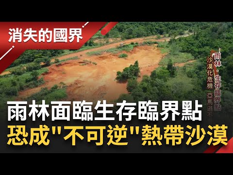 雨林生存保衛戰！"沙漠危機化"讓亞馬遜不再綠 雨林退化成沙漠成不可逆慘劇 科學家警告：現存熱帶雨林恐變"熱帶沙漠"│李文儀主持│【消失的國界PART1】20230415│三立新聞台