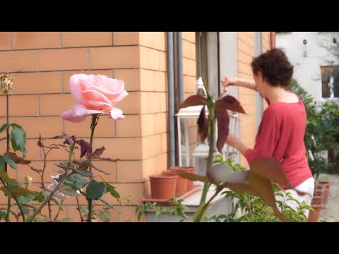 Taking care of your home with passion | walnut bread recipe | new life for lanterns