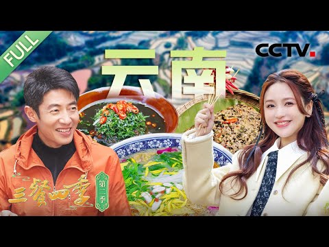 【Full】过桥米线 汽锅鸡 香茅草排骨 油炸竹虫  石屏豆腐 苦撒 红豆煮荨麻 哈尼豆豉煮泥鳅……和撒贝宁、金莎、周笔畅一同寻味云南！| CCTV「三餐四季 第二季」第9期 20250427