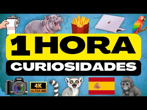 ¡1 HORA de DATOS CURIOSOS y COSAS QUE NO SABÍAS! ⏰😲