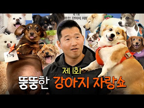 The First Chubby Dog Show Off Contest