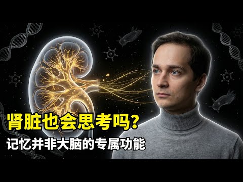 【分享】肾脏竟然有记忆？ | 细胞智能 | 尼古拉库库什金 | 脑科学 | 进化论 | 真核细胞 | 多细胞生物 | 意识涌现 | 模式识别 | 生物动机 | AI演化趋势 | 单手击掌