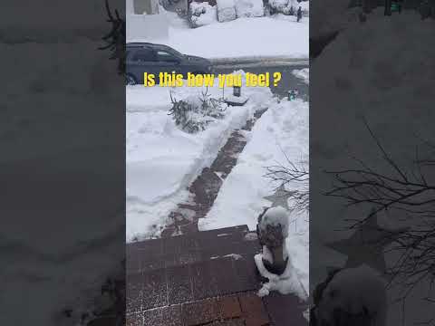 Winter please go away!! #comedy #funny #viral #snow