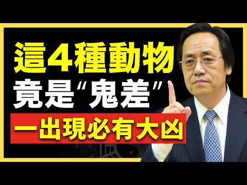 這4種動物一出現，屋裡必有「大事」要發生！ #倪海廈   #國學智慧 #國學文化 #中華智慧