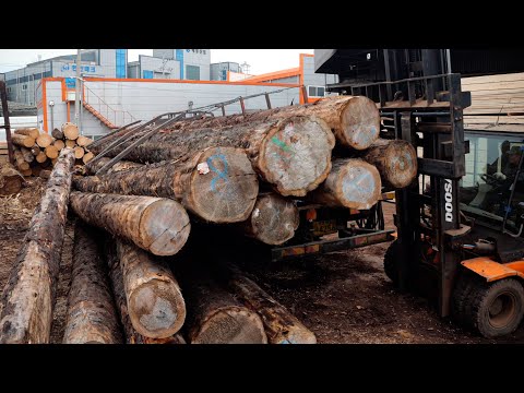 The process of processing a large tree to create an expensive table
